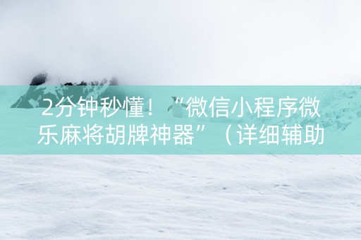2分钟秒懂！“微信小程序微乐麻将胡牌神器”（详细辅助教程）-哔哩哔哩