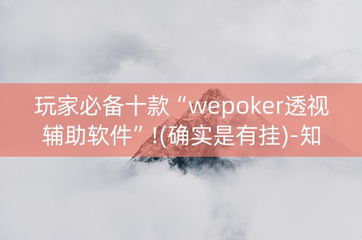 玩家必备十款“wepoker透视辅助软件”!(确实是有挂)-知乎