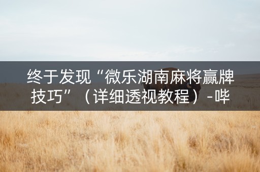 终于发现“微乐湖南麻将赢牌技巧”（详细透视教程）-哔哩哔哩