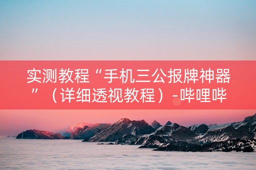 实测教程“手机三公报牌神器”（详细透视教程）-哔哩哔哩