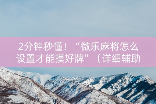 2分钟秒懂！“微乐麻将怎么设置才能摸好牌”（详细辅助教程）-哔哩哔哩