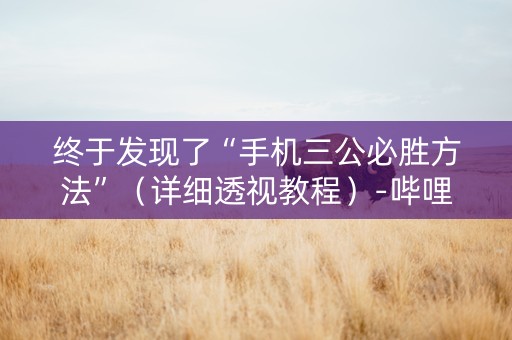 终于发现了“手机三公必胜方法”（详细透视教程）-哔哩哔哩