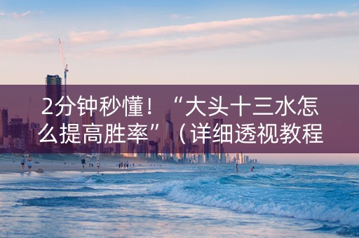 2分钟秒懂！“大头十三水怎么提高胜率”（详细透视教程）-哔哩哔哩