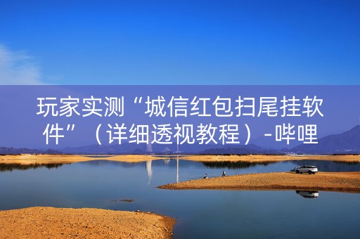 玩家实测“城信红包扫尾挂软件”（详细透视教程）-哔哩哔哩