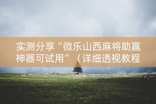 实测分享“微乐山西麻将助赢神器可试用”（详细透视教程）-哔哩哔哩