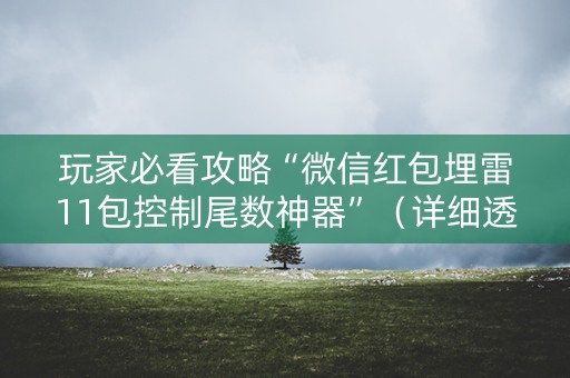 玩家必看攻略“微信红包埋雷11包控制尾数神器”（详细透视教程）-哔哩哔哩