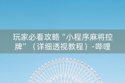 玩家必看攻略“小程序麻将控牌”（详细透视教程）-哔哩哔哩