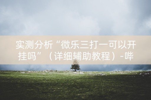 实测分析“微乐三打一可以开挂吗”（详细辅助教程）-哔哩哔哩