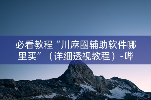 必看教程“川麻圈辅助软件哪里买”（详细透视教程）-哔哩哔哩