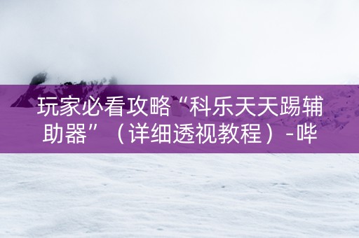 玩家必看攻略“科乐天天踢辅助器”（详细透视教程）-哔哩哔哩