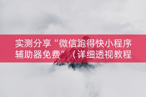 实测分享“微信跑得快小程序辅助器免费”（详细透视教程）-哔哩哔哩