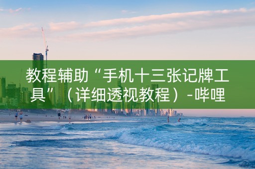 教程辅助“手机十三张记牌工具”（详细透视教程）-哔哩哔哩