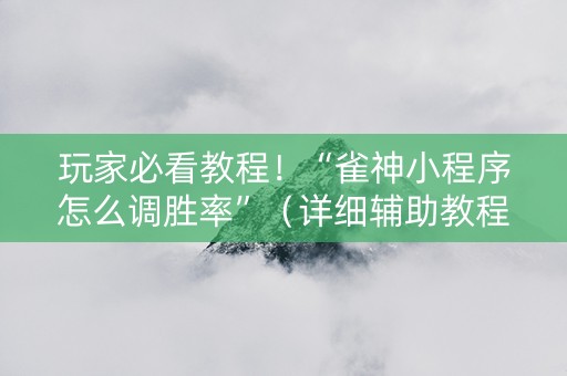 玩家必看教程！“雀神小程序怎么调胜率”（详细辅助教程）-哔哩哔哩