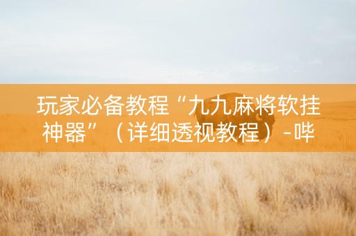 玩家必备教程“九九麻将软挂神器”（详细透视教程）-哔哩哔哩