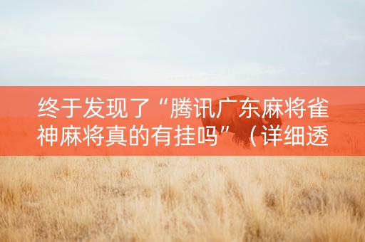 终于发现了“腾讯广东麻将雀神麻将真的有挂吗”（详细透视教程）-哔哩哔哩
