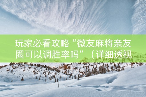 玩家必看攻略“微友麻将亲友圈可以调胜率吗”（详细透视教程）-哔哩哔哩