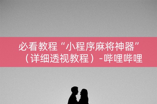 必看教程“小程序麻将神器”（详细透视教程）-哔哩哔哩