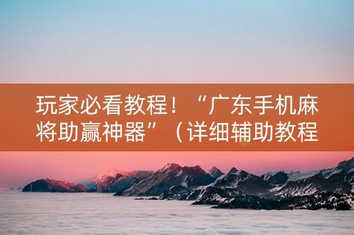 玩家必看教程！“广东手机麻将助赢神器”（详细辅助教程）-哔哩哔哩