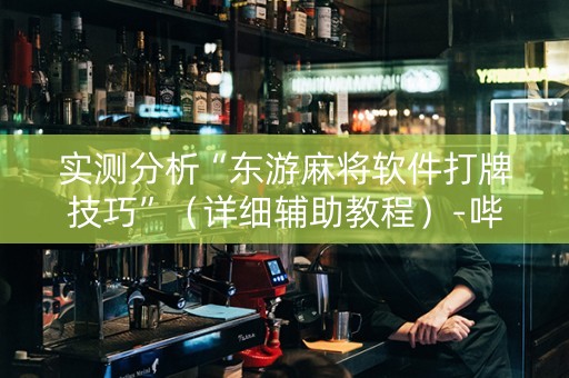 实测分析“东游麻将软件打牌技巧”（详细辅助教程）-哔哩哔哩