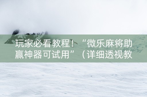 玩家必看教程！“微乐麻将助赢神器可试用”（详细透视教程）-哔哩哔哩