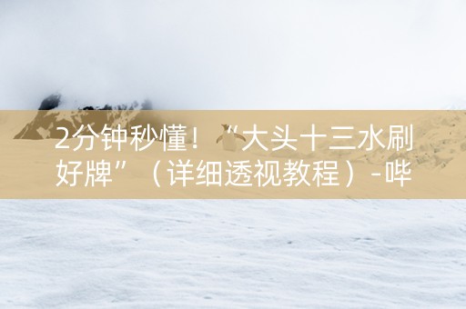 2分钟秒懂！“大头十三水刷好牌”（详细透视教程）-哔哩哔哩