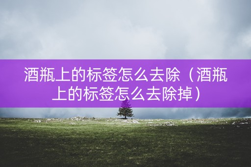 酒瓶上的标签怎么去除（酒瓶上的标签怎么去除掉）