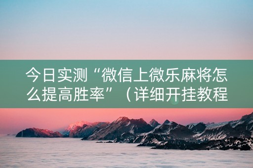 今日实测“微信上微乐麻将怎么提高胜率”（详细开挂教程）-哔哩哔哩