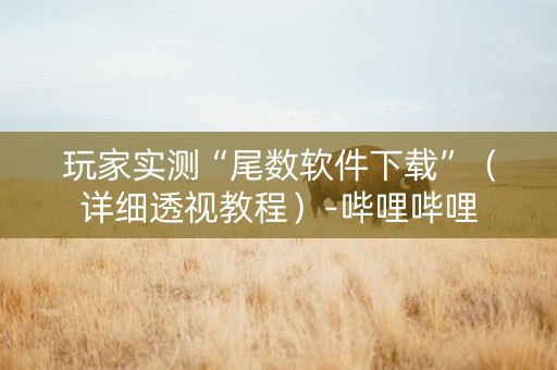 玩家实测“尾数软件下载”（详细透视教程）-哔哩哔哩