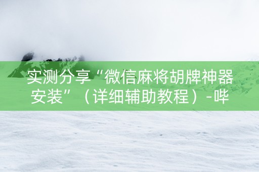 实测分享“微信麻将胡牌神器安装”（详细辅助教程）-哔哩哔哩