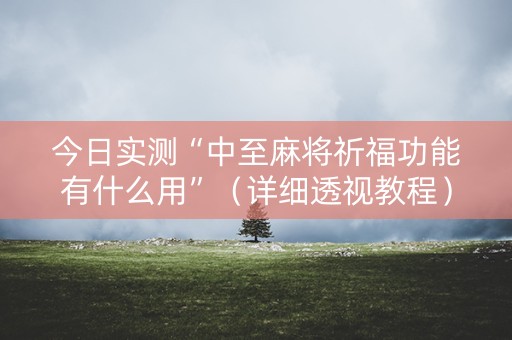 今日实测“中至麻将祈福功能有什么用”（详细透视教程）-哔哩哔哩