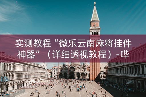 实测教程“微乐云南麻将挂件神器”（详细透视教程）-哔哩哔哩
