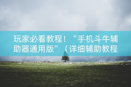 玩家必看教程！“手机斗牛辅助器通用版”（详细辅助教程）-哔哩哔哩