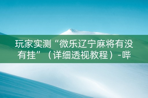 玩家实测“微乐辽宁麻将有没有挂”（详细透视教程）-哔哩哔哩