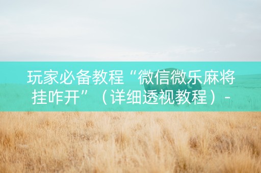 玩家必备教程“微信微乐麻将挂咋开”（详细透视教程）-哔哩哔哩