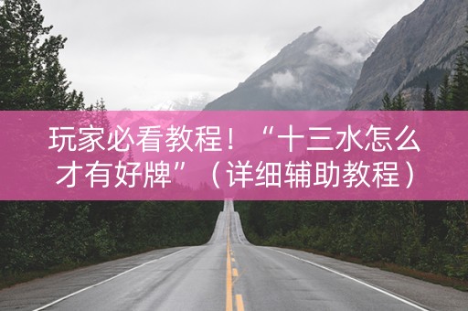 玩家必看教程！“十三水怎么才有好牌”（详细辅助教程）-哔哩哔哩