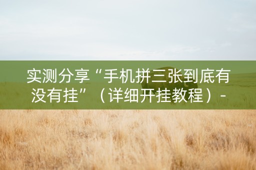 实测分享“手机拼三张到底有没有挂”（详细开挂教程）-哔哩哔哩