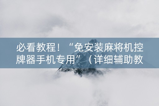 必看教程！“免安装麻将机控牌器手机专用”（详细辅助教程）-哔哩哔哩
