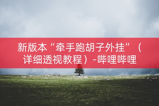 新版本“牵手跑胡子外挂”（详细透视教程）-哔哩哔哩