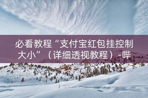 必看教程“支付宝红包挂控制大小”（详细透视教程）-哔哩哔哩