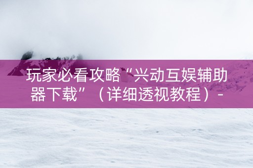 玩家必看攻略“兴动互娱辅助器下载”（详细透视教程）-哔哩哔哩
