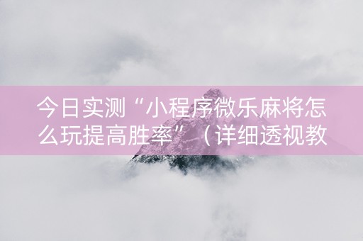 今日实测“小程序微乐麻将怎么玩提高胜率”（详细透视教程）-哔哩哔哩