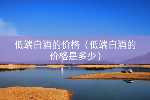 低端白酒的价格（低端白酒的价格是多少）