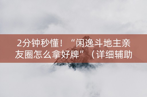 2分钟秒懂！“闲逸斗地主亲友圈怎么拿好牌”（详细辅助教程）-哔哩哔哩