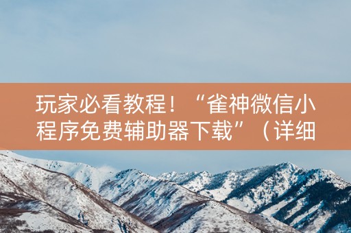 玩家必看教程！“雀神微信小程序免费辅助器下载”（详细透视教程）-哔哩哔哩
