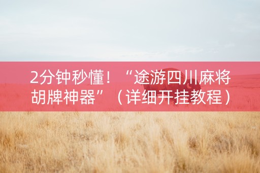 2分钟秒懂！“途游四川麻将胡牌神器”（详细开挂教程）-哔哩哔哩