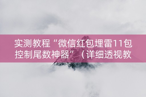 实测教程“微信红包埋雷11包控制尾数神器”（详细透视教程）-哔哩哔哩