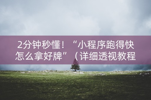 2分钟秒懂！“小程序跑得快怎么拿好牌”（详细透视教程）-哔哩哔哩