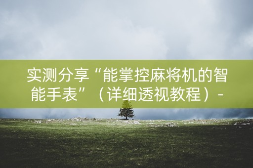 实测分享“能掌控麻将机的智能手表”（详细透视教程）-哔哩哔哩