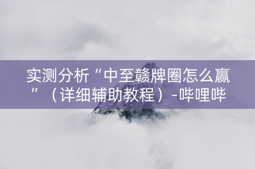 实测分析“中至赣牌圈怎么赢”（详细辅助教程）-哔哩哔哩