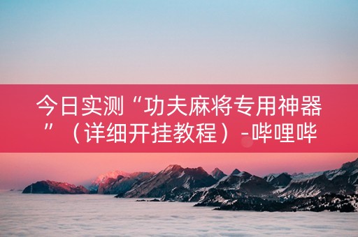 今日实测“功夫麻将专用神器”（详细开挂教程）-哔哩哔哩